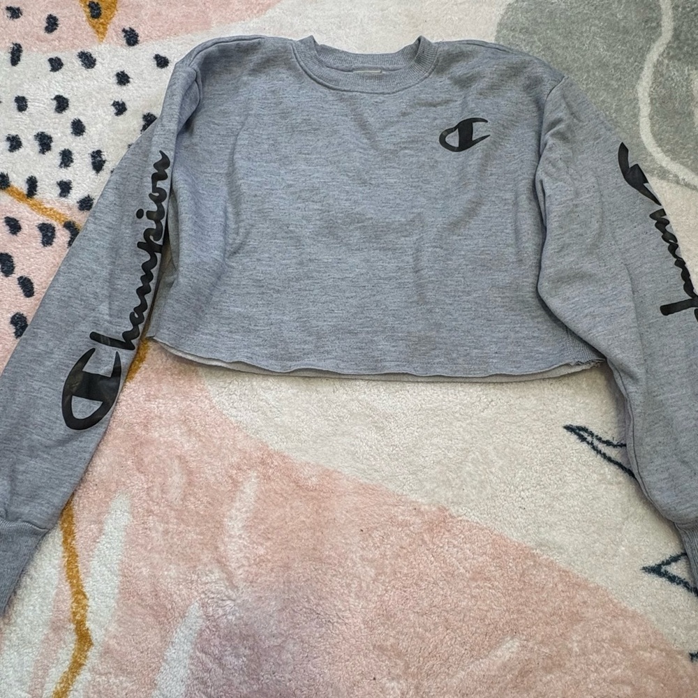 Champion Gray Cropped Sweatshirt